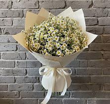 Букет цветов из:  Ромашки #REPLACE_PRED# Каширском
