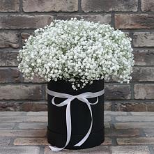 Цветочная композиция из Гипсофила в шляпной коробке в Каширском