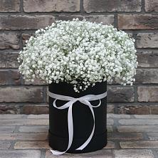 Цветочная композиция из Гипсофила в шляпной коробке в Каширском